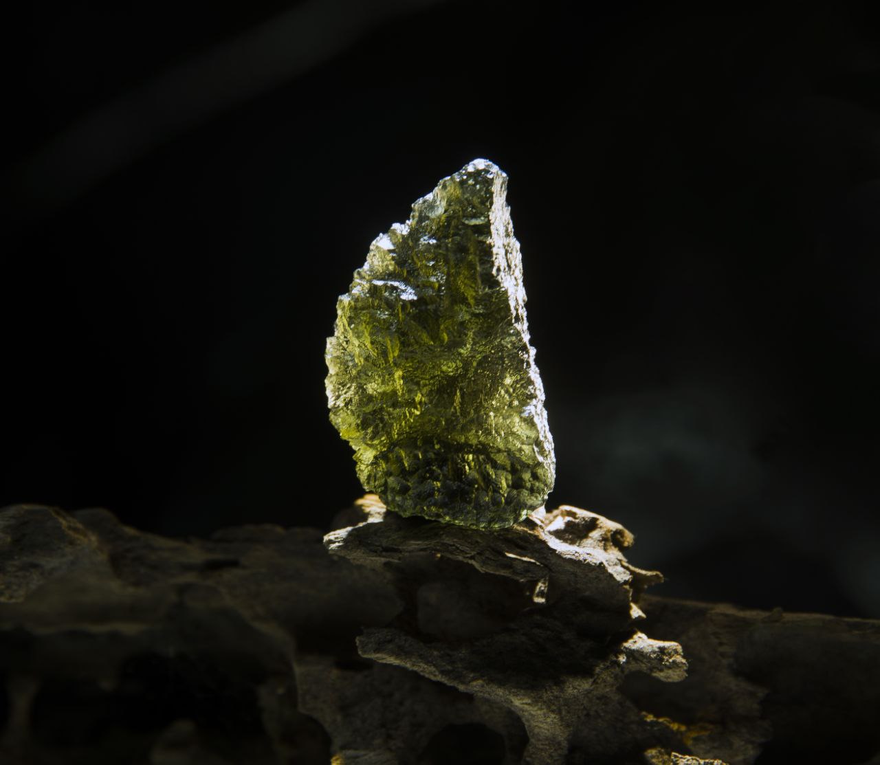 photo_2025-11-24 17.08.11